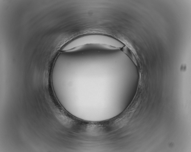 X0000096430109200802211156