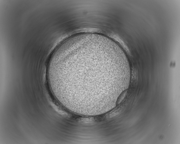 X0000096430110200802211156