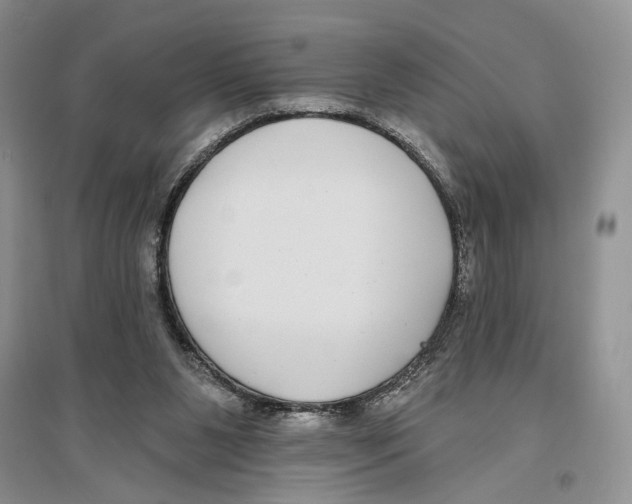 X0000096430111200802211156
