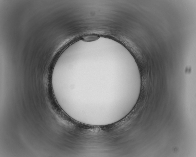 X0000096430112200802211156