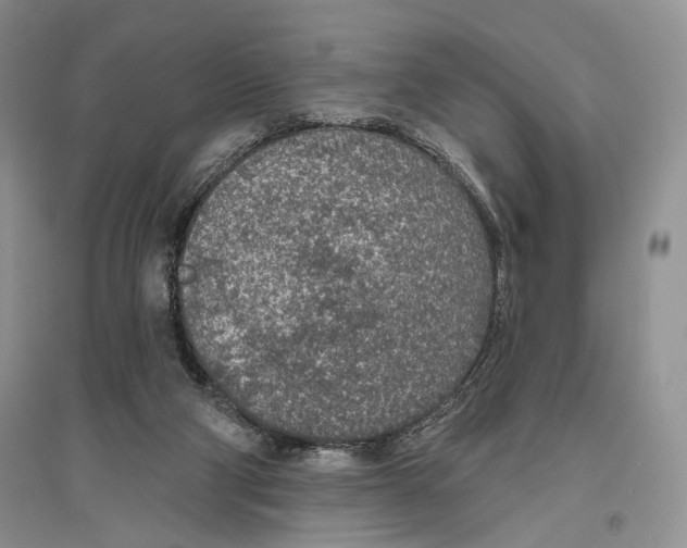 X0000096430114200802211156