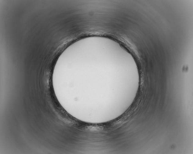 X0000096430115200802211156