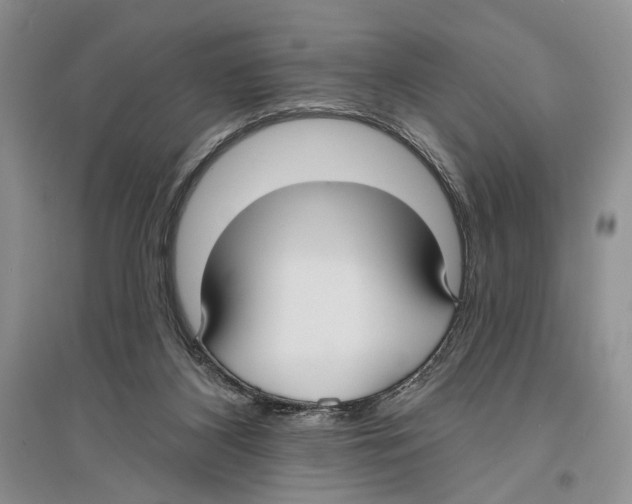 X0000096430116200802211156