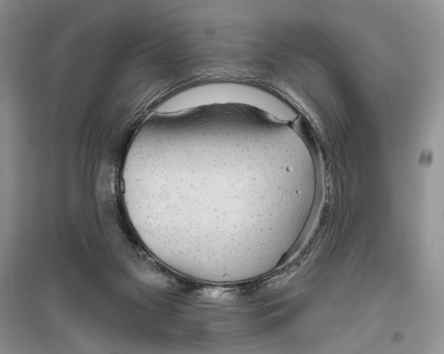 X0000096430117200802211156
