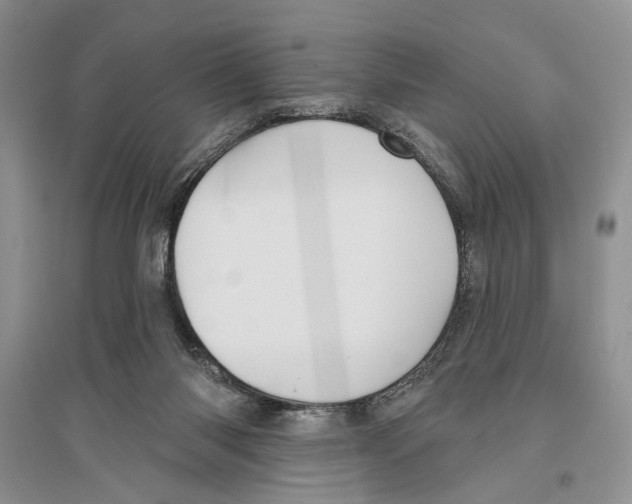 X0000096430118200802211156