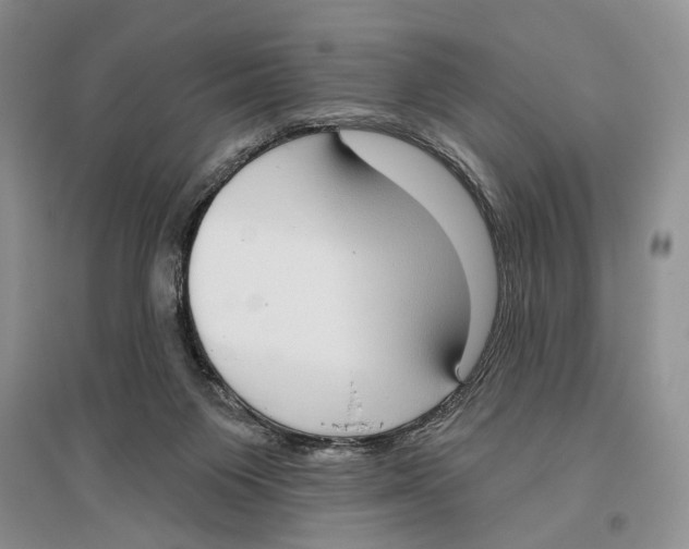 X0000096430119200802211156