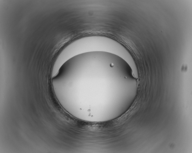 X0000096430120200802211156
