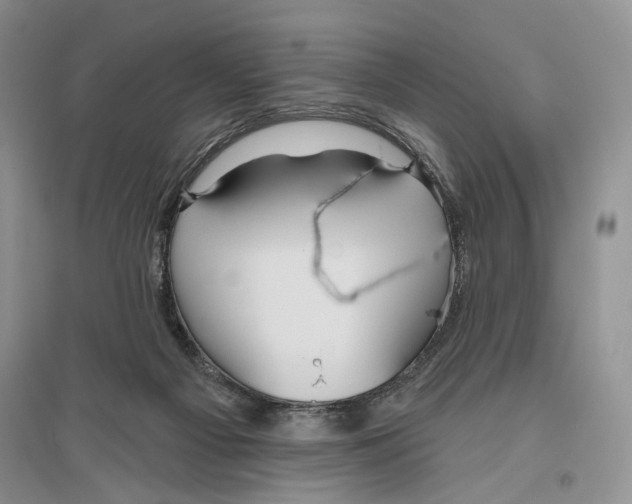 X0000096430121200802211156