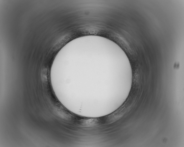 X0000096430122200802211156