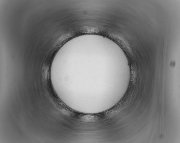 X0000096430123200802211156