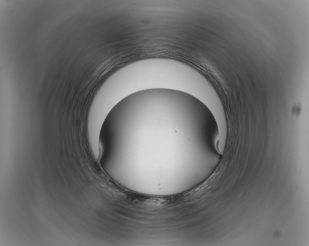 X0000096430124200802211156