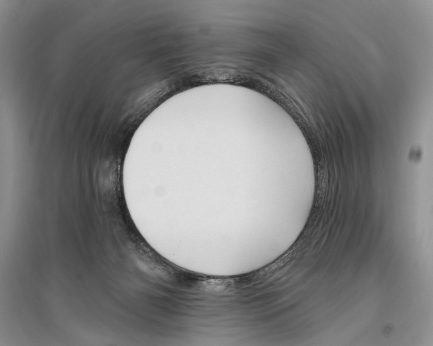 X0000096430126200802211156