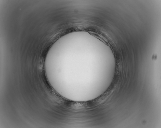 X0000096430129200802211156