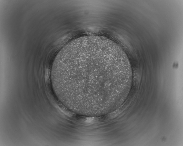 X0000096430130200802211156