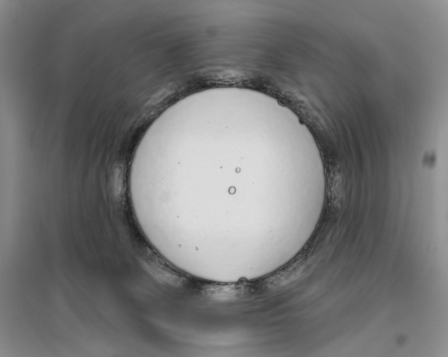 X0000096430131200802211156