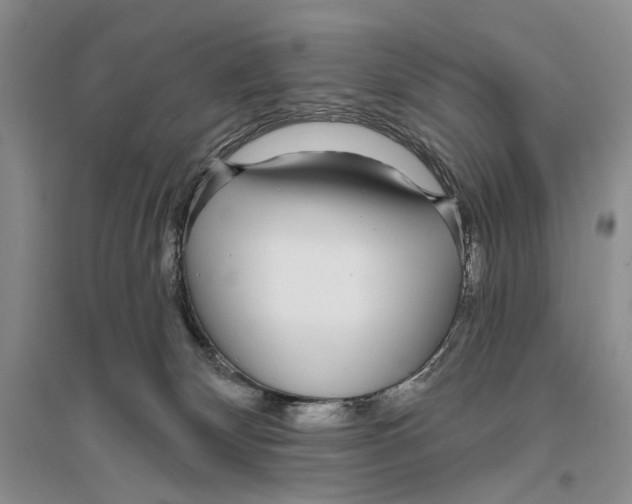 X0000096430132200802211156