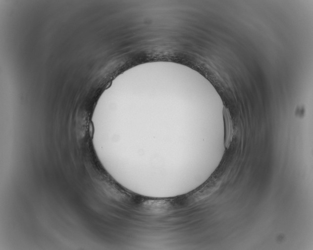X0000096430133200802211156