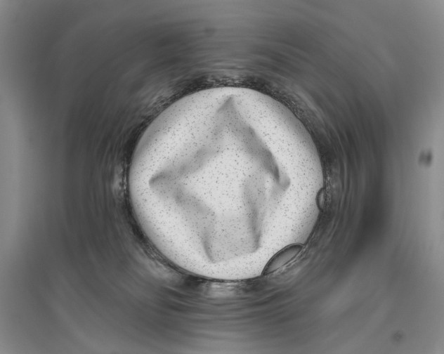 X0000096430134200802211156