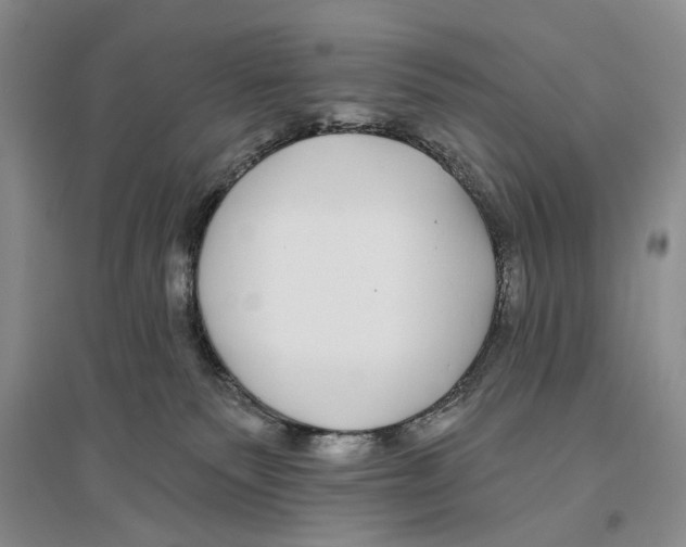 X0000096430135200802211156