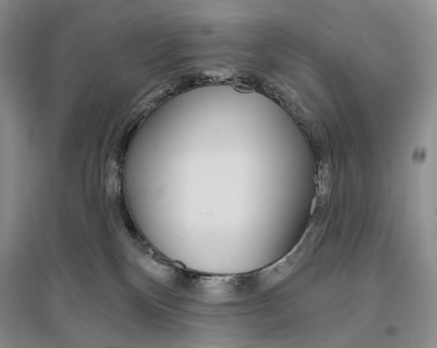 X0000096430136200802211156