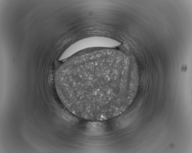 X0000096430137200802211156