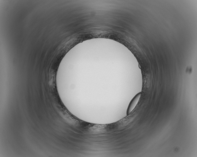 X0000096430138200802211156
