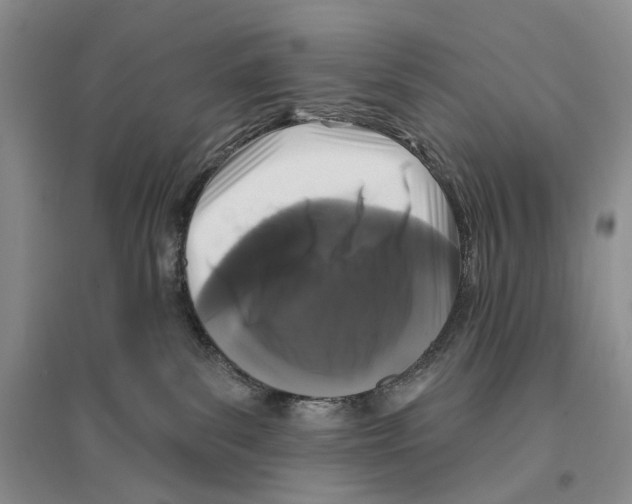 X0000096430139200802211156