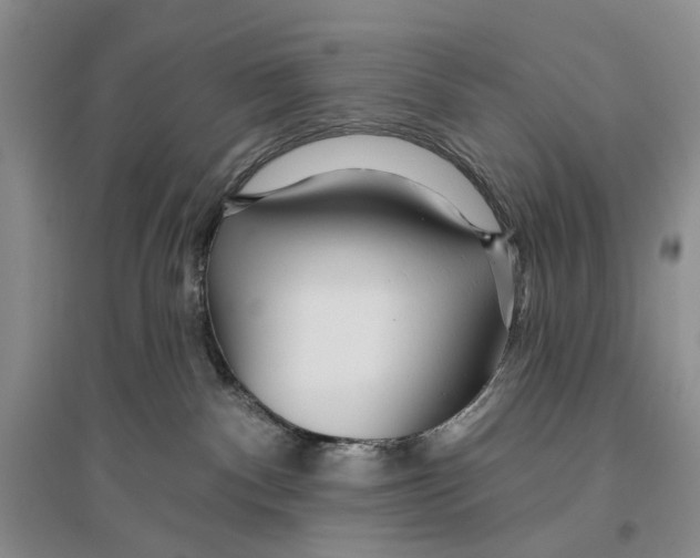 X0000096430140200802211156