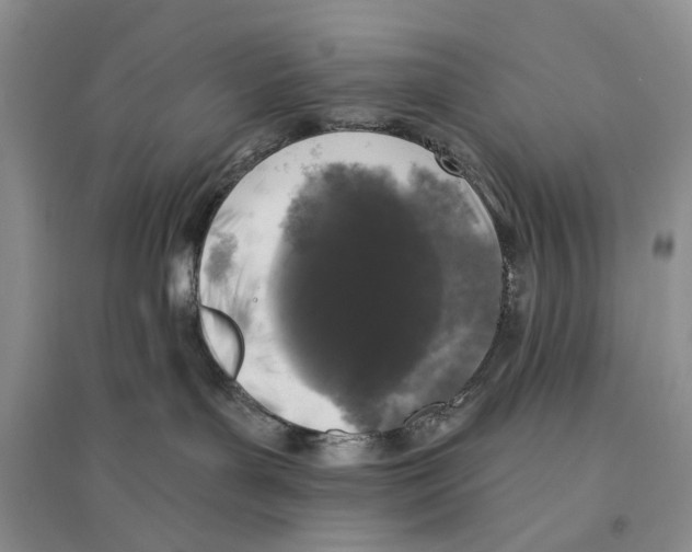 X0000096430143200802211156