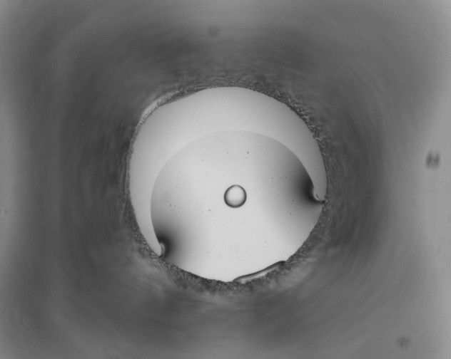 X0000096430144200802211156