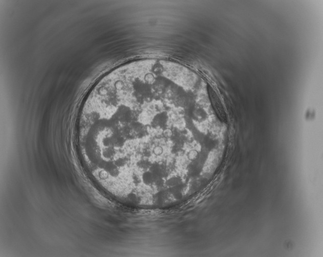 X0000096430145200802211155