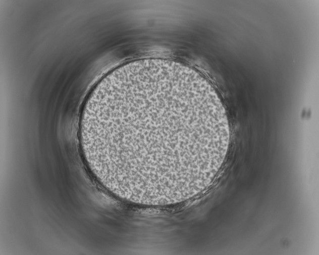 X0000096430146200802211155