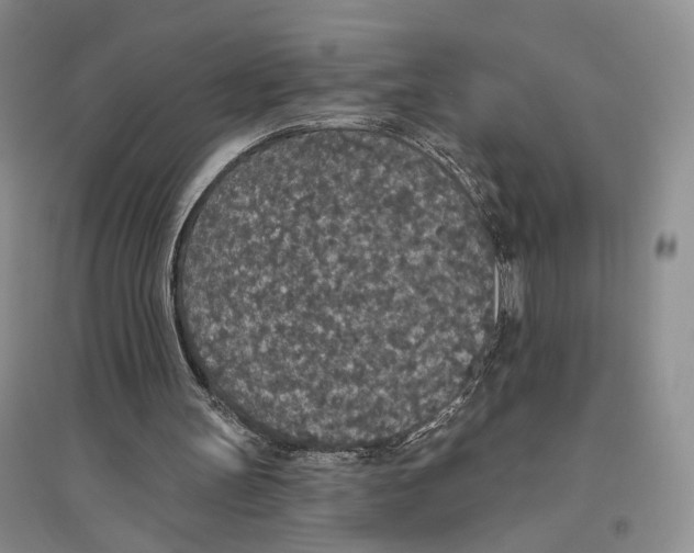 X0000096430147200802211155