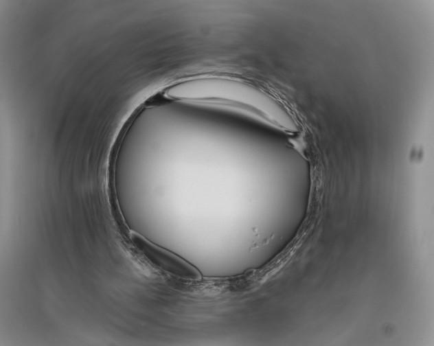 X0000096430148200802211155