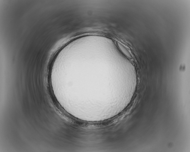 X0000096430149200802211155