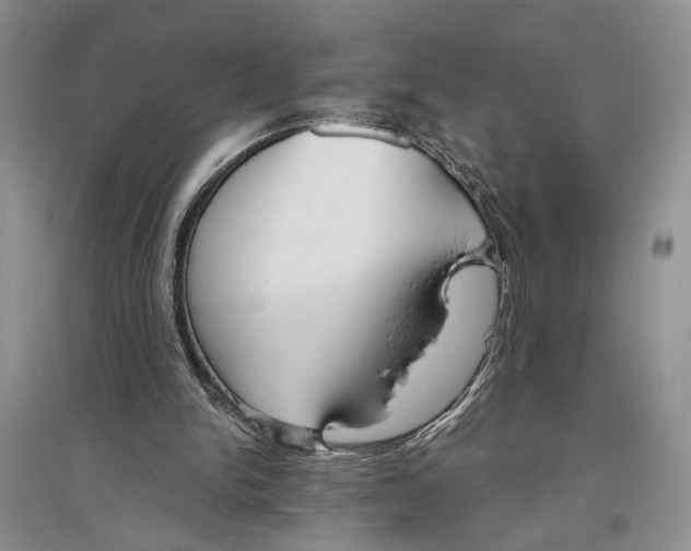 X0000096430150200802211155
