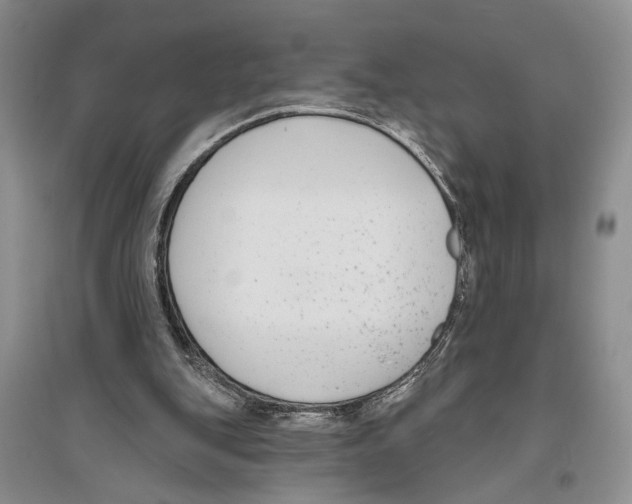 X0000096430151200802211155