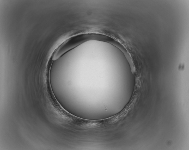 X0000096430152200802211155
