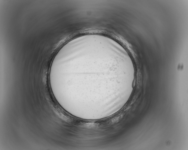 X0000096430153200802211155