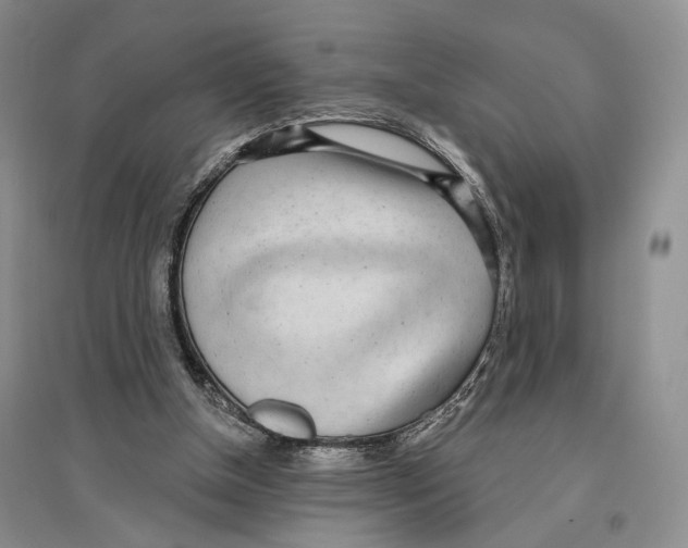 X0000096430154200802211155