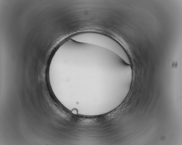 X0000096430155200802211155
