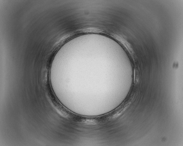 X0000096430157200802211155
