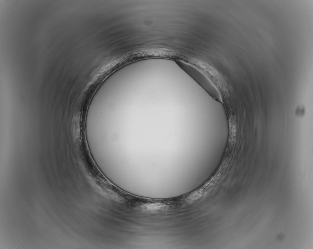 X0000096430158200802211155