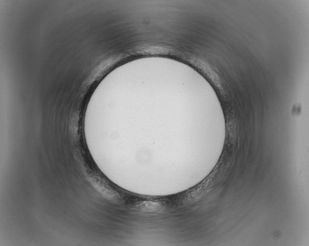 X0000096430159200802211155