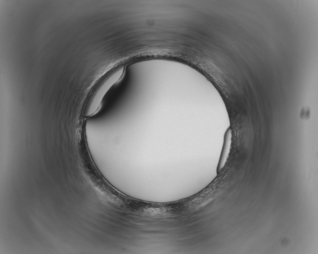 X0000096430160200802211155