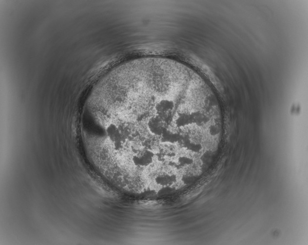 X0000096430161200802211155