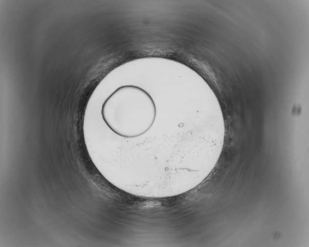 X0000096430162200802211155