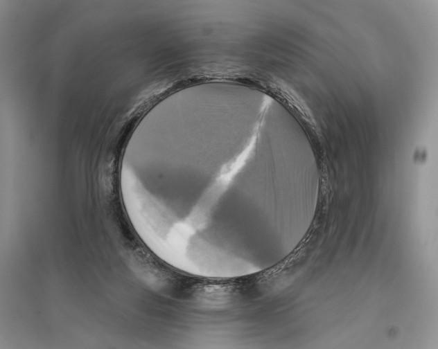X0000096430163200802211155