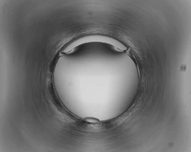 X0000096430164200802211155