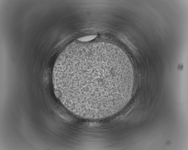 X0000096430165200802211155